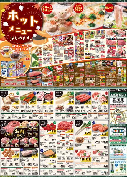 レギュラーチラシnew-1