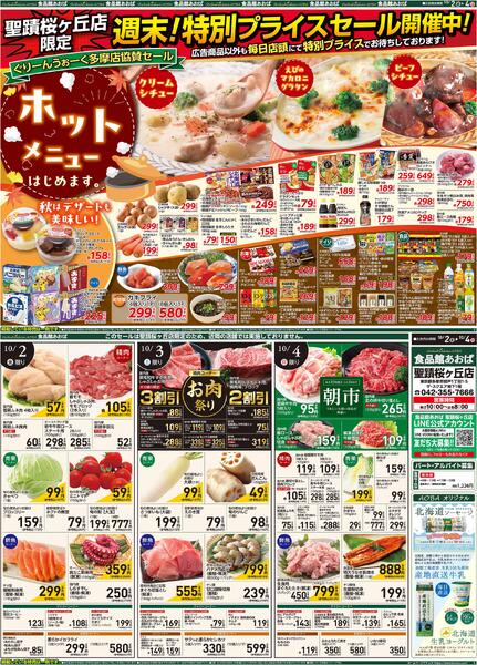 レギュラーチラシnew-1