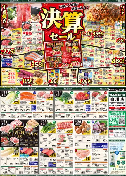 レギュラーチラシ-1