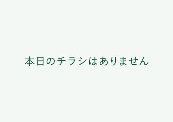 レギュラーチラシnew-2