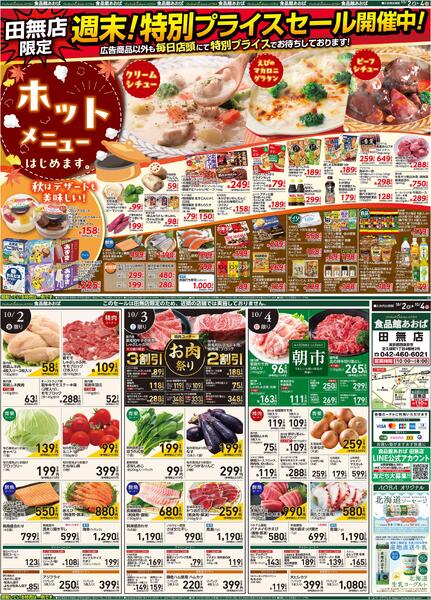 レギュラーチラシnew-1