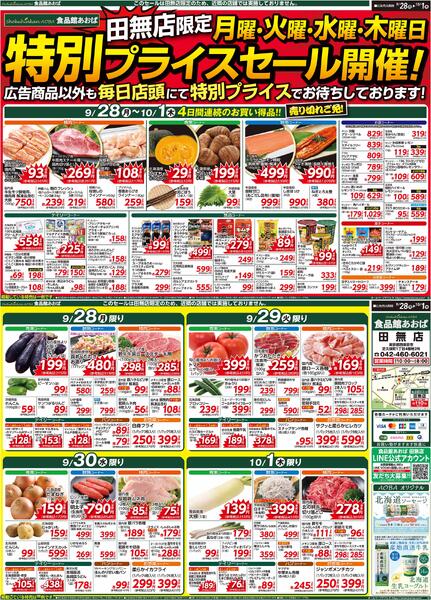 レギュラーチラシ-1