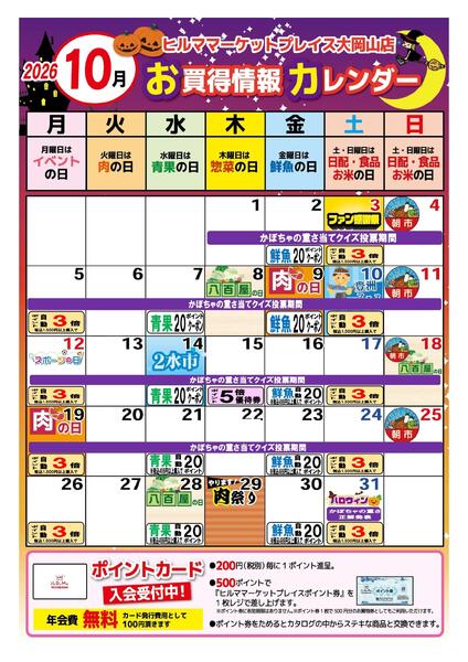 最新チラシnew-2