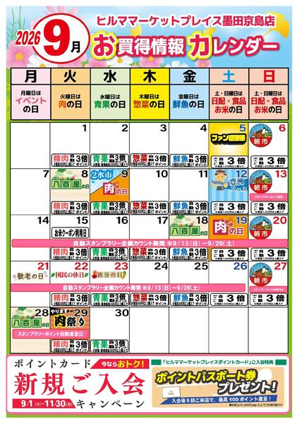 最新チラシ-2