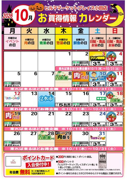 最新チラシnew-2