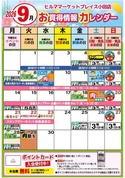 最新チラシ-2