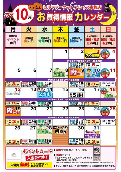 最新チラシnew-2
