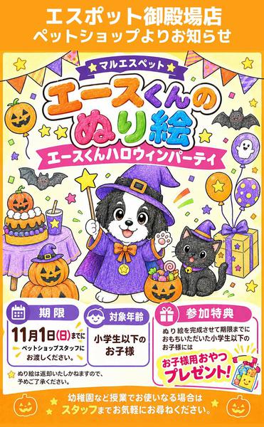2026年9月28日〜11月1日まで御殿場店ペットショップからお知らせ-1