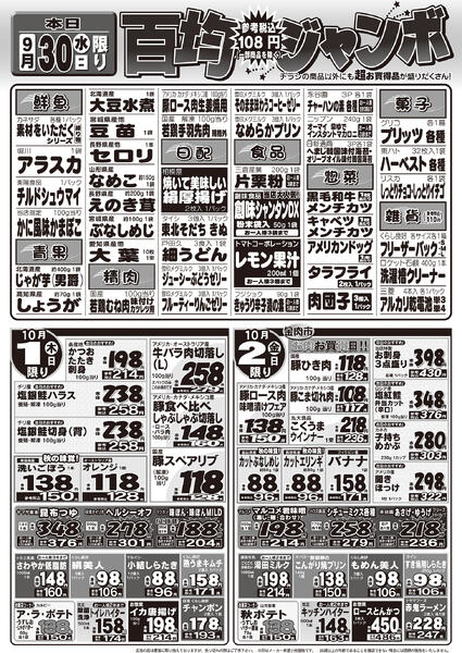 最新チラシ-2