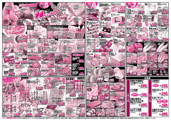 最新チラシ-2