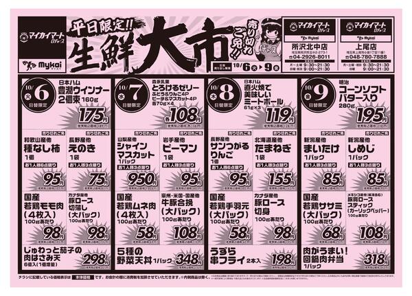 折り込みチラシnew-1