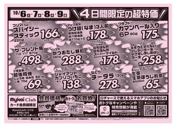 折り込みチラシnew-2