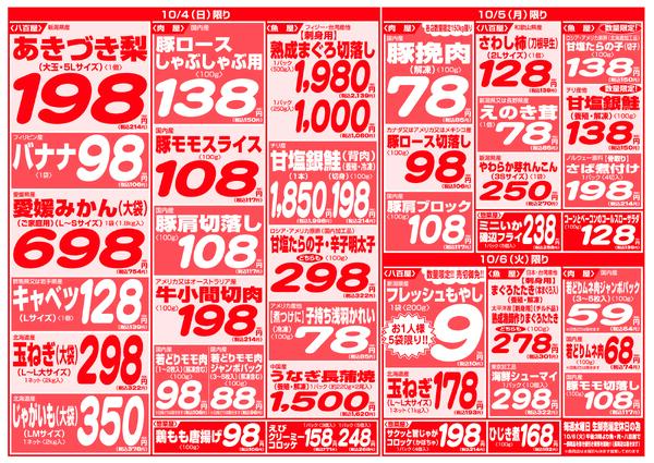 最新チラシnew-4