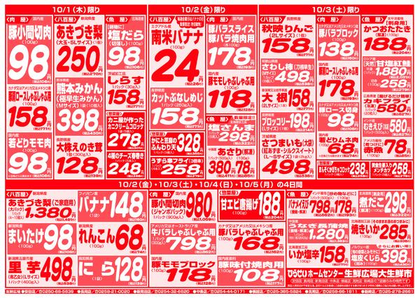 最新チラシnew-3