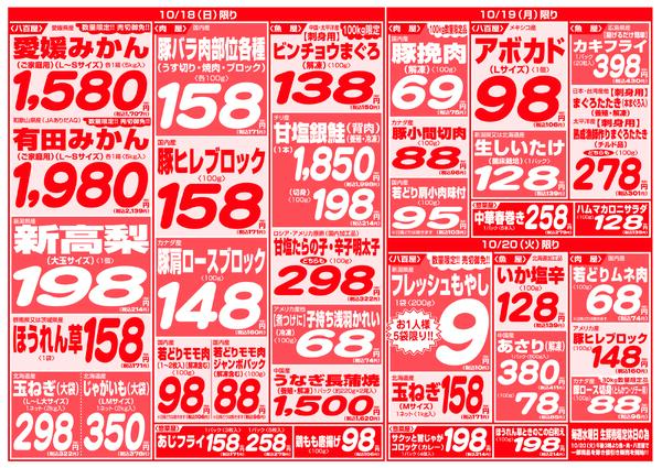 最新チラシnew-12