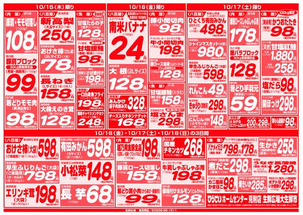 最新チラシnew-11