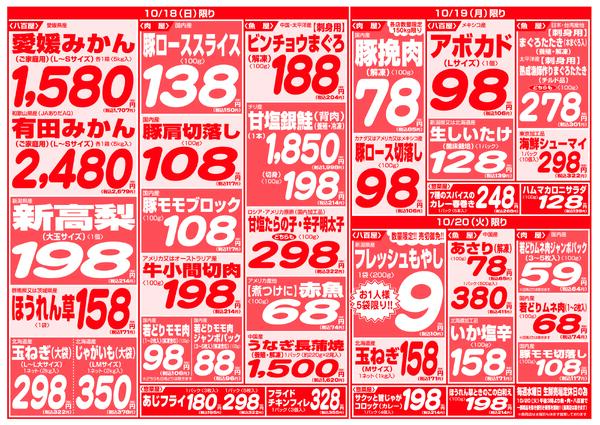 最新チラシnew-10