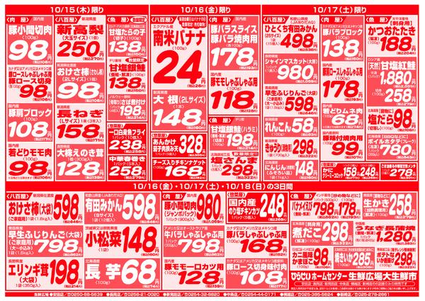 最新チラシnew-9