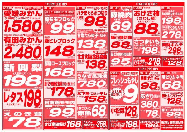 最新チラシ-6