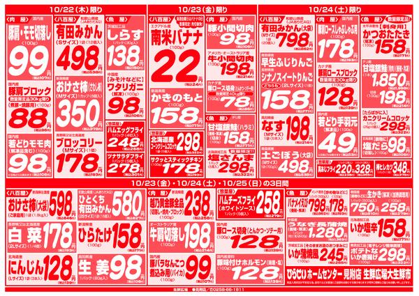 最新チラシ-5