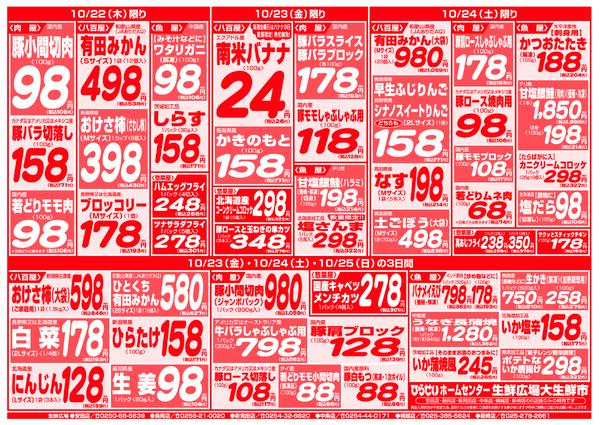 最新チラシ-3