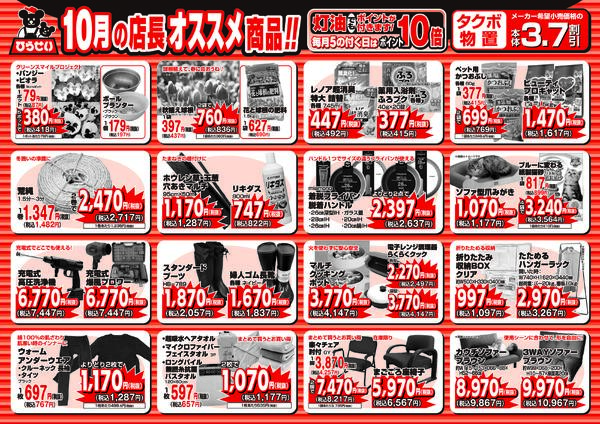 最新チラシnew-1