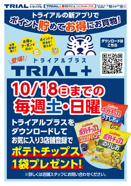 最新チラシnew-3