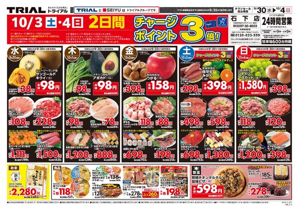 最新チラシnew-3
