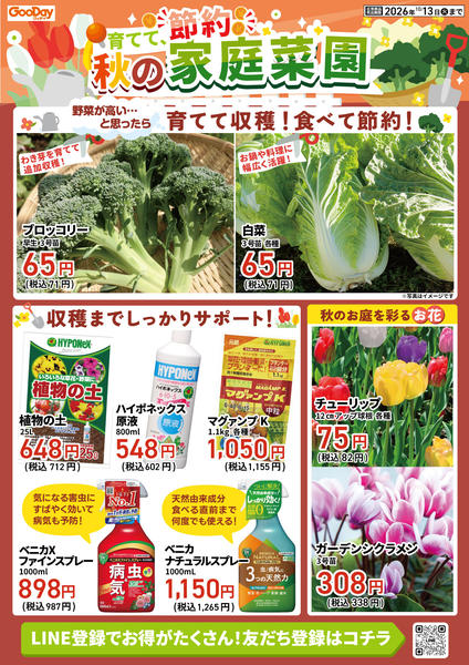 2026年9月30日〜10月13日まで育てて、節約 秋の家庭菜園チラシ-1