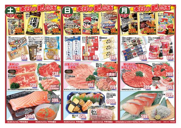 レギュラーチラシnew-2