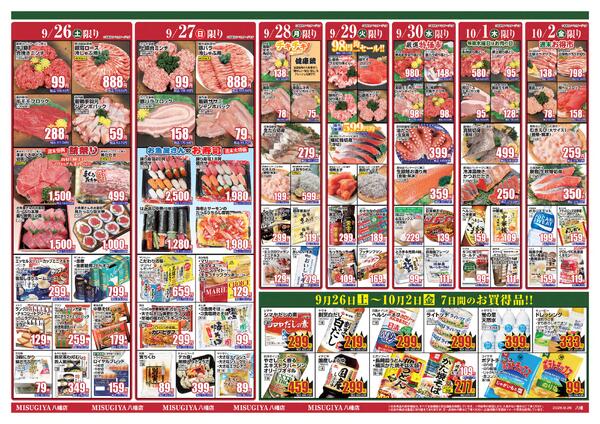 レギュラーチラシ-3