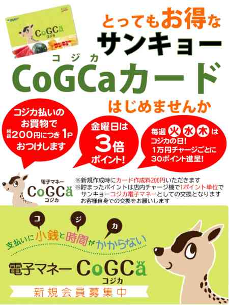 2026年9月29日〜2027年3月31日までコジカカード-1
