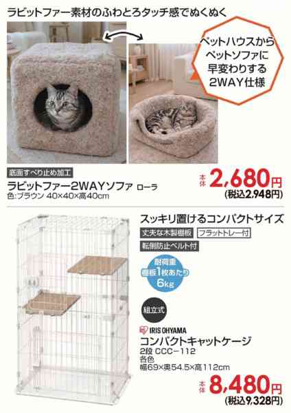 2026年10月22日〜25日までねこちゃんの冬支度-1