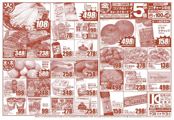 CGCフェア-1