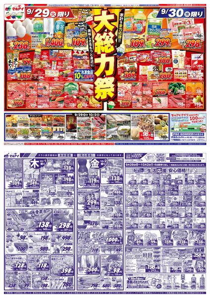 最新チラシ-2