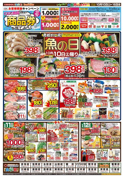 最新チラシnew-1
