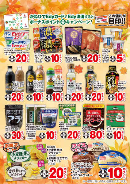 2026年10月1日〜11月30日まで10月～11月ボーナスポイント-2