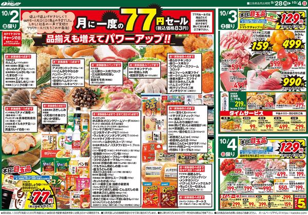 レギュラーチラシ-2