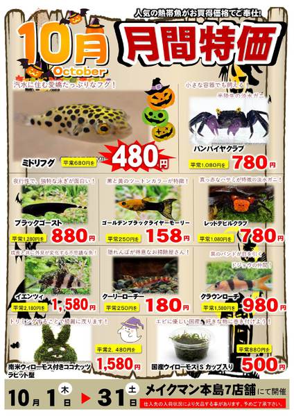 2026年10月1日〜31日まで10月熱帯魚月間-1