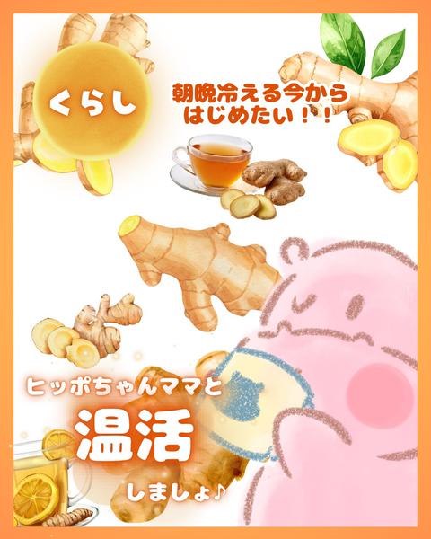 2026年10月2日〜31日まで朝晩冷えるかも⁉そんな時は…「温活」☀new-1